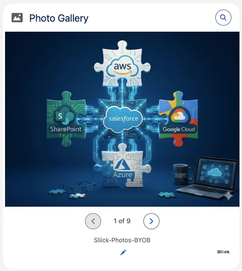 The Sliick Photos carousel view showing one photo at a time with paging, a caption, and an inline edit control