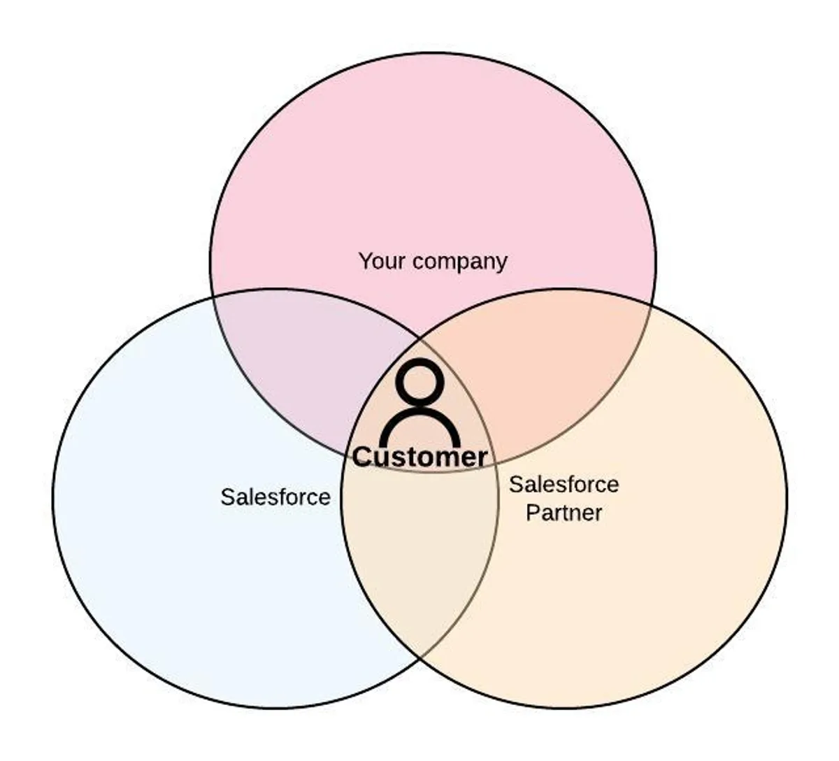 Choosing an Implementation Partner to Maximise Success